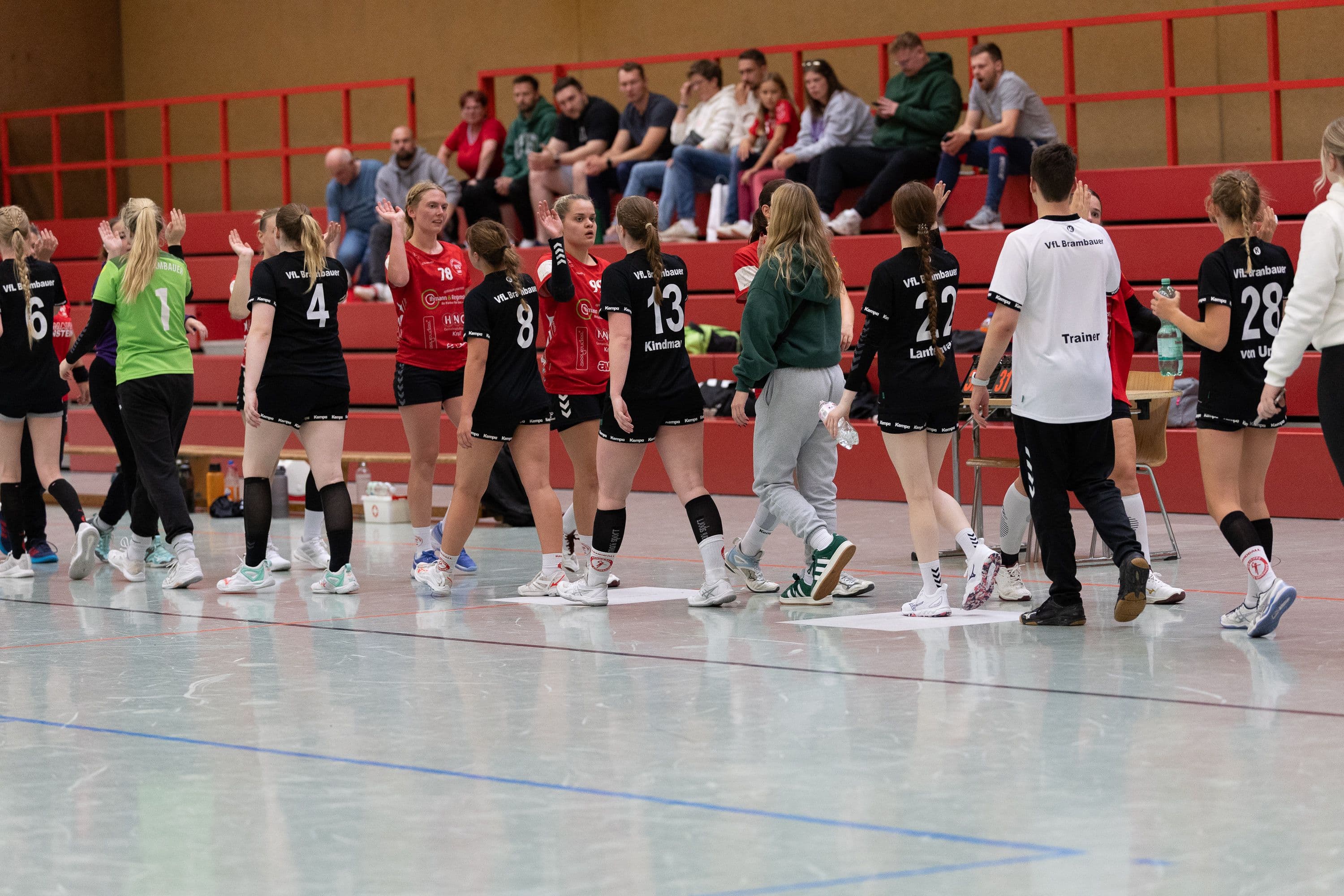 Handball Action Shot